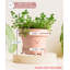 Cute Pots Pot Planter