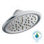 ExactTemp Rain Shower Head with Immersion-1379382119
