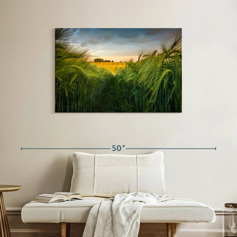 Harnek Green Wheat Field