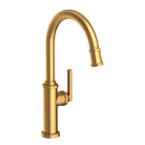 Heaney Single Handle Pull Down Kitchen Faucet