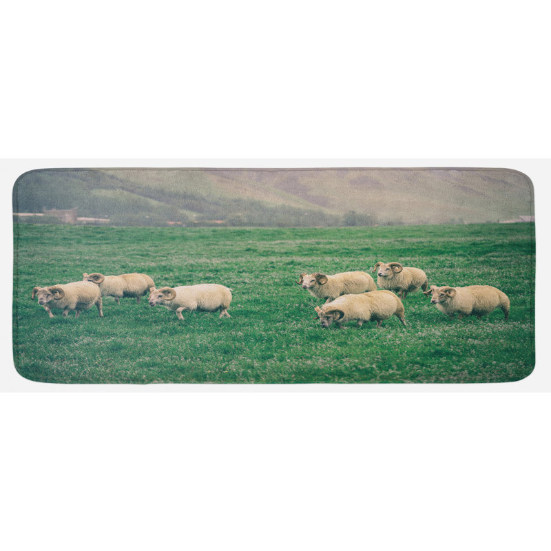 Tapis de cuisine pour animaux de ferme