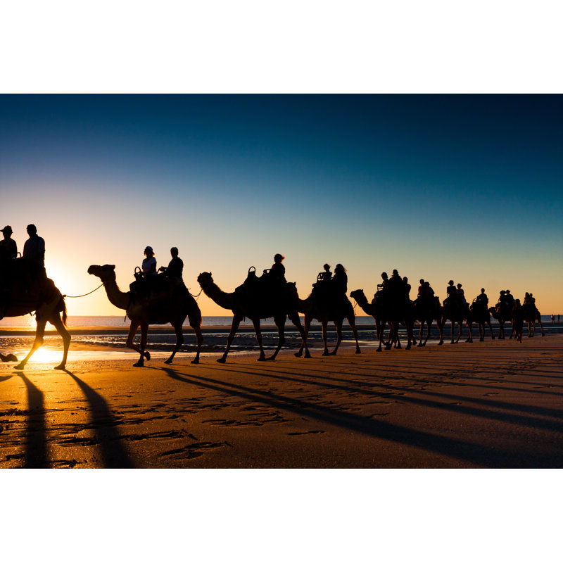 Camels, Broome, Australia by Sebastianbourges - Wrapped Canvas Print, 61cm H x 91cm W
