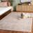 Romance Performance Oriental Rug-1881084864
