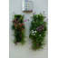 Wall Planter