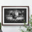Lion Vol.5 - Picture Frame Graphic Art-62802654-62802655