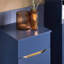 Aadhith Freestanding Bathroom Cabinet