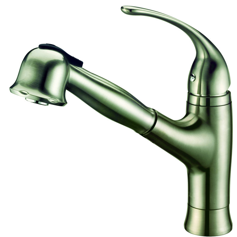 Dawn USA Kitchen Faucet, Brushed Nickel