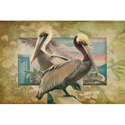 Pelican Paradise IV - Wrapped Canvas Print