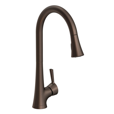 Vespera Single Handle Pull Down Kitchen Faucet