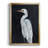" Calm Great Egret I "-715581191-715581186
