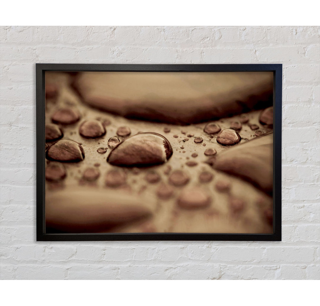 Chocolate Raindrop - Einzelner Bilderrahmen Kunstdrucke auf Leinwand