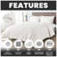  Bedding-1116804173-1116804162
