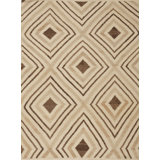 Moroccan Area Rug in Beige/Brown