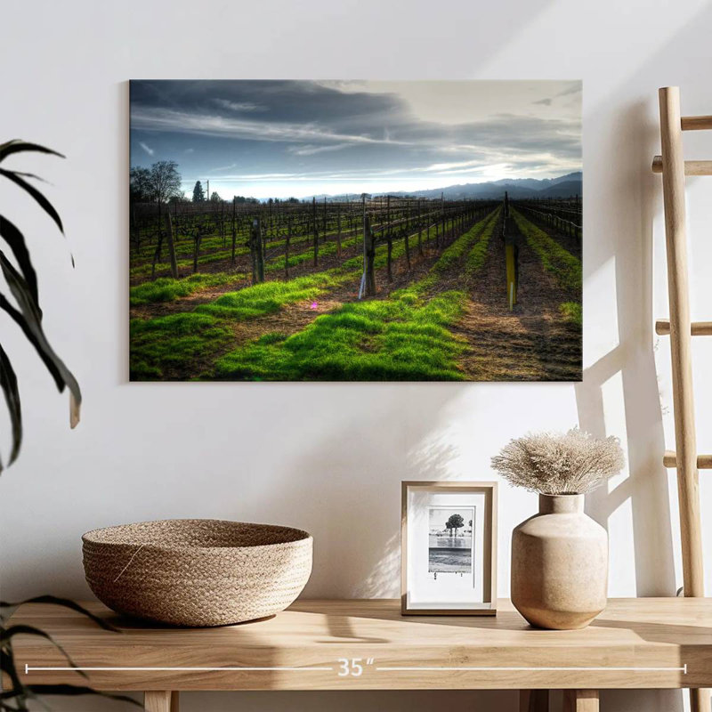 Alvord Napa Vineyard en janvier, H 16 po x l 24 po