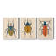 Beetle Bug I - ensemble de 3 peintures sur toile encadrées-1777886048-1777886078