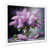 White Picture Framed