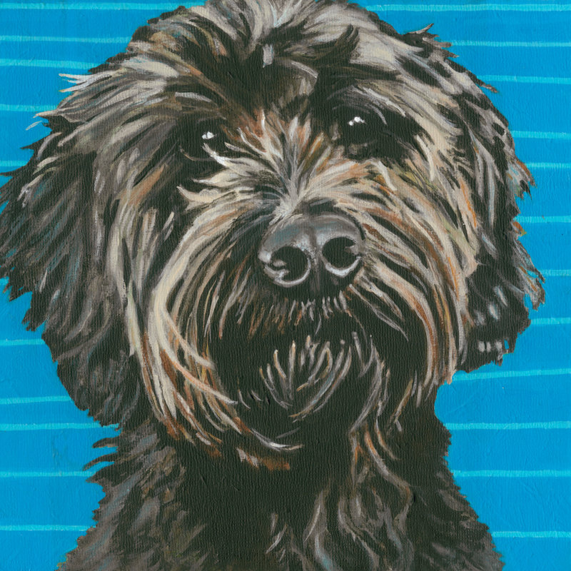Dlynns Dogs - Mini, H 20 po x l 20 po x P 1,25 po