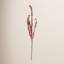 Red Berry Stem