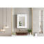 Armoire de rangement de salle de bain murale 20 "avec miroir