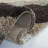 Millia Shag Performance Camouflage Rug-30974379