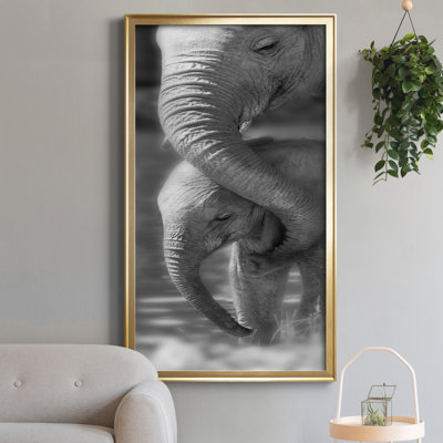 " Morning Moment "