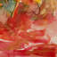 The Blossom No.2 by Fanyu Lin - Single Picture Frame Painting