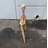 Baby T-Rex Dinosaur Skeleton Life Size Statue