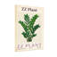Plantes et fleurs Zz-597140220