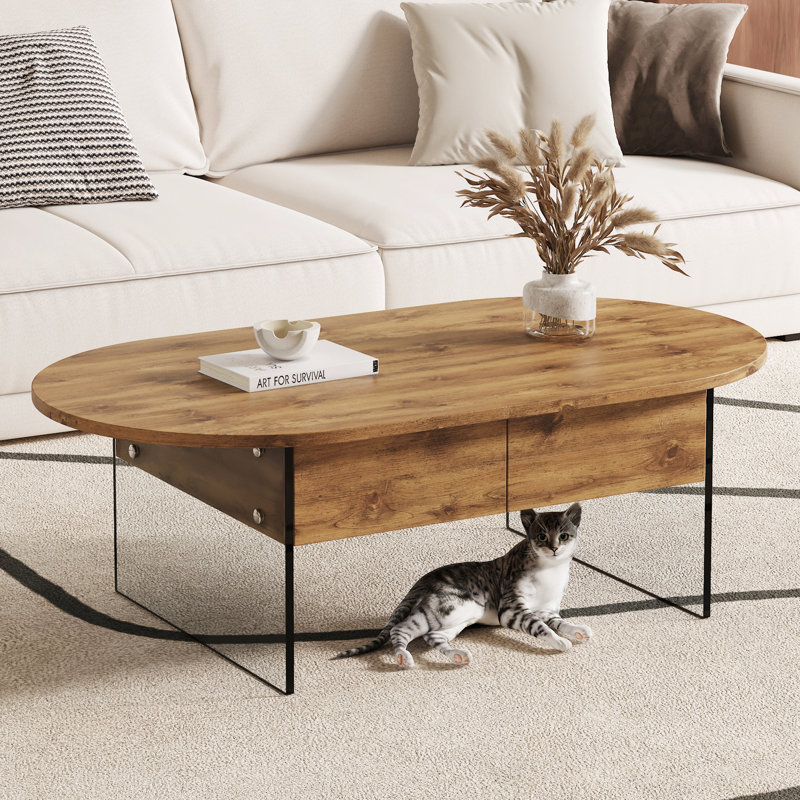 Oval Double Drawer Coffee Table