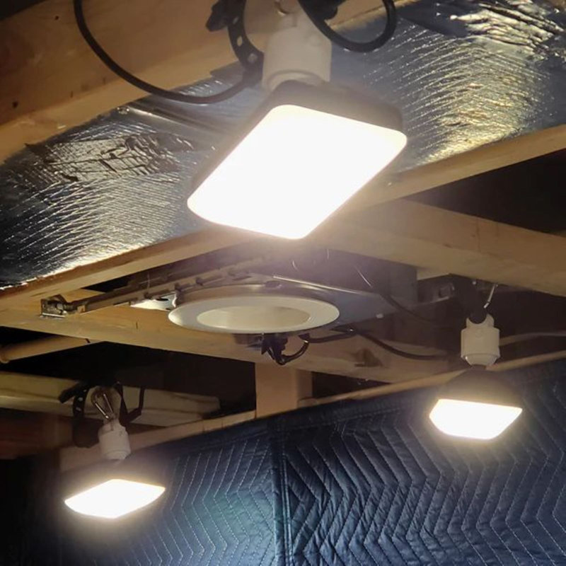 Leonice Outdoor 1 - Bulb 120'' Plug-in LED String Light