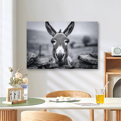 Black‑White Funny Donkey Cute Farm Animal Artwork, Large Gallery Wrapped Canvas Wall Art Print for Living Room & Bedroom