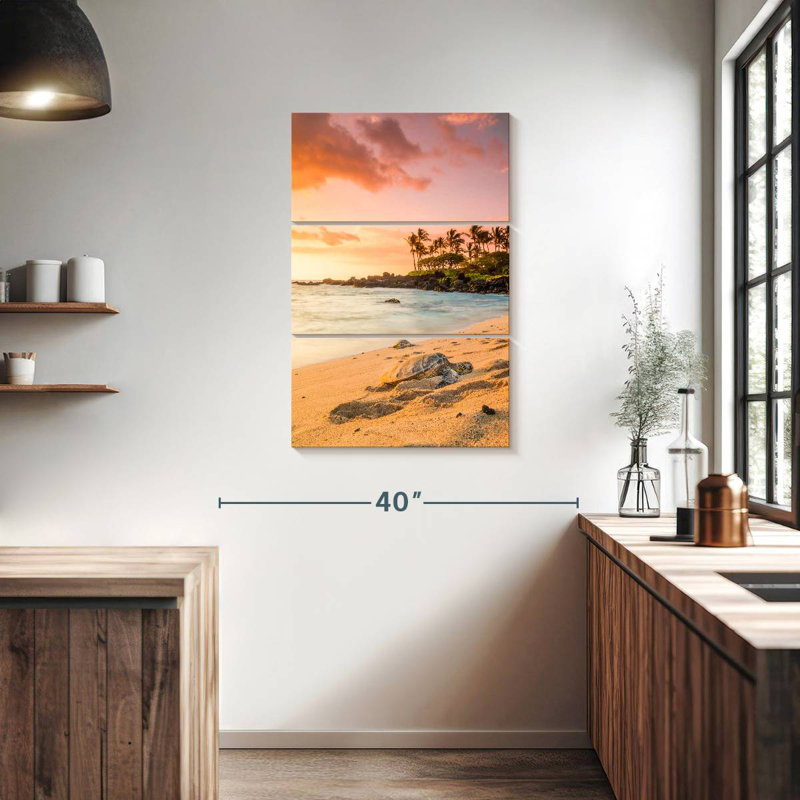 Tortue de plage Brampt Kukio, H 38 po x l 24 po