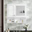 Armoire à pharmacie à miroir avec tablettes ouvertes-118319106
