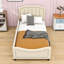 Lit plateforme tapissier Rylynn-1219980235