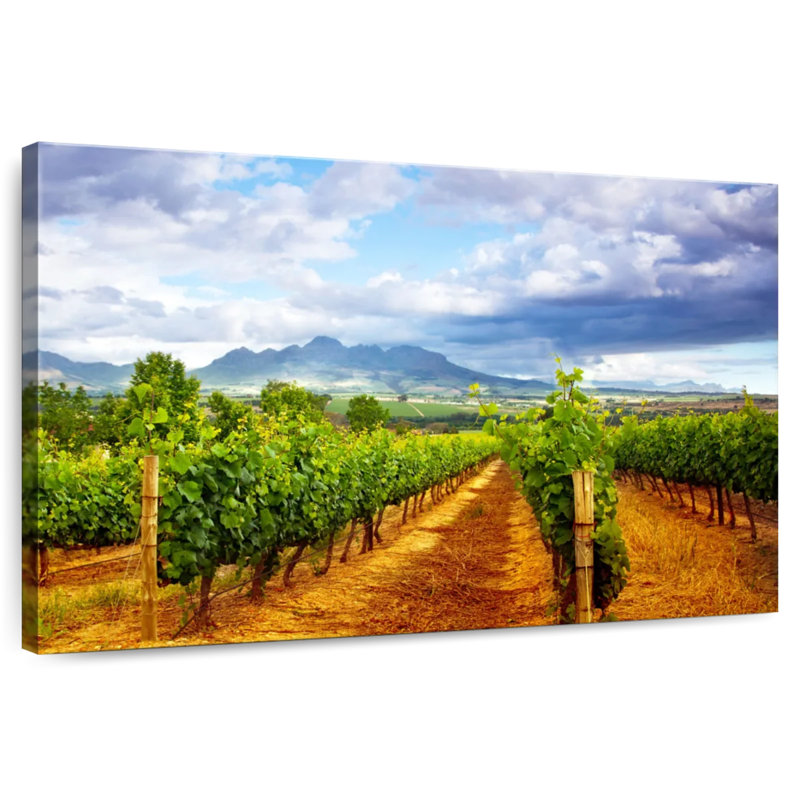 Vignoble pittoresque d'Alvord, H 8 po x l 12 po
