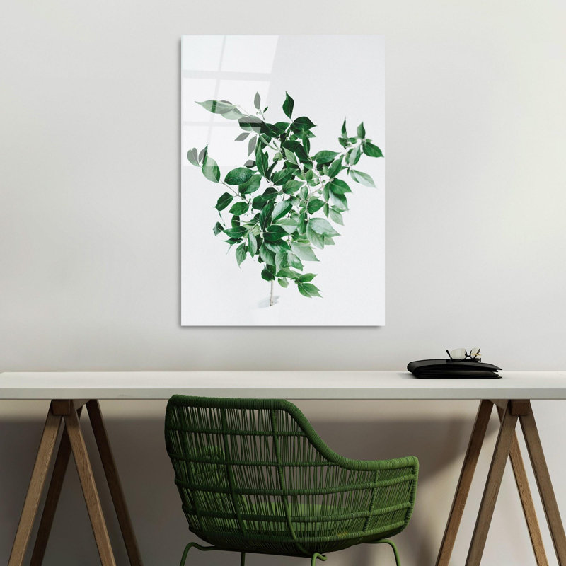Boze Wall Decor
