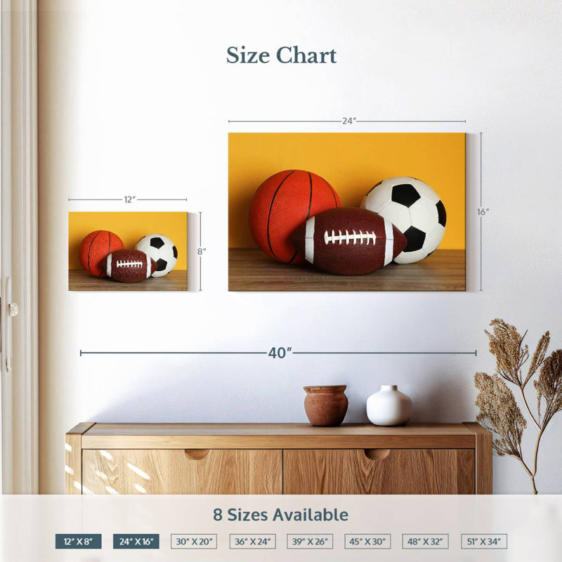 Team sports balls Sireci, H 16 po x l 24 po