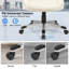 Inbox Zero Everaldo Executive Chair