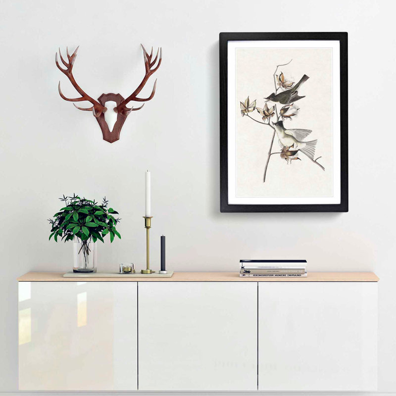 Pewit Flycatcher Birds by John James Audubon - Picture Frame Painting Print, 65cm H x 48cm W x 2cm D, Black Framed