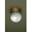 ODIN Flush Mount-639898943