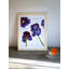 Plants & Flowers-6295199