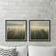 Monaco Sunlight Through Trees 2 Piece Single Picture Frame Wall Art Set-1582497804