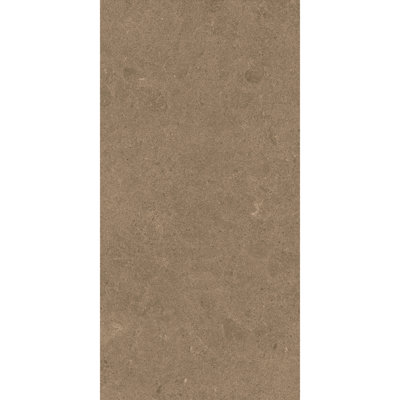 Artistic Freedom 12"X24" Porcelain Stone Look