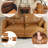 Zendajas 6 - Piece Modular U-Shape Sectional Sofa with Storage-1022929023