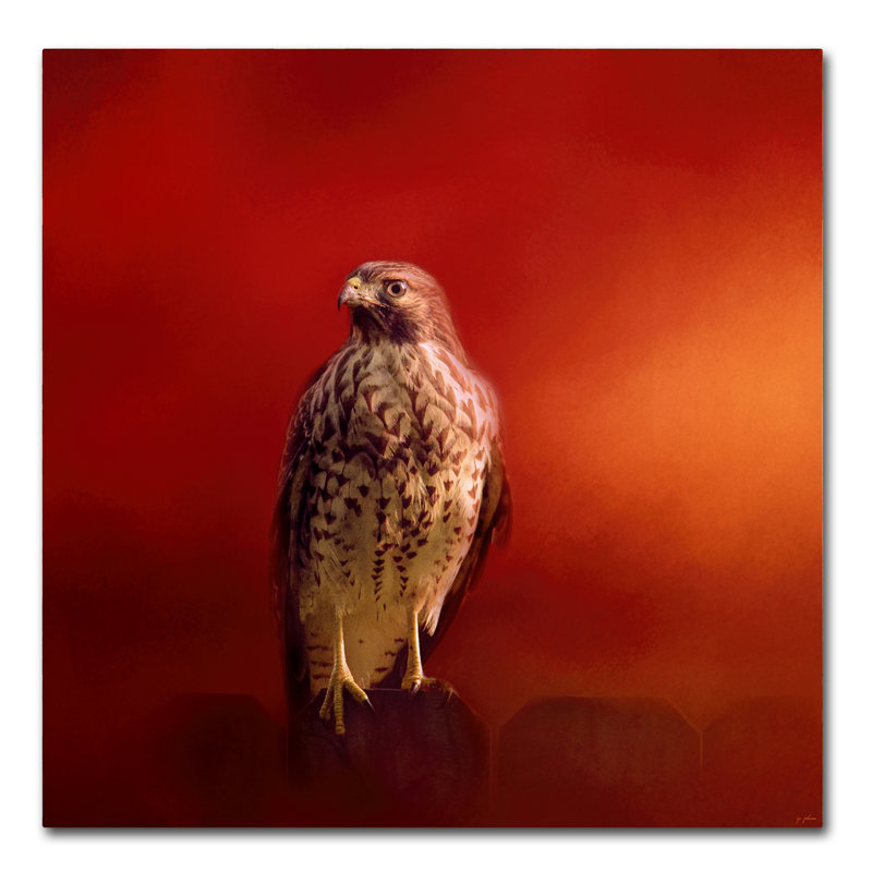 Vidur «Hawk on a Hot Day», impression sur toile tendue, H 14 po x l 14 po