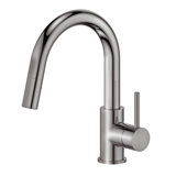 Dante Pull Down Single Handle Kitchen Faucet with Side Spray and Accessories