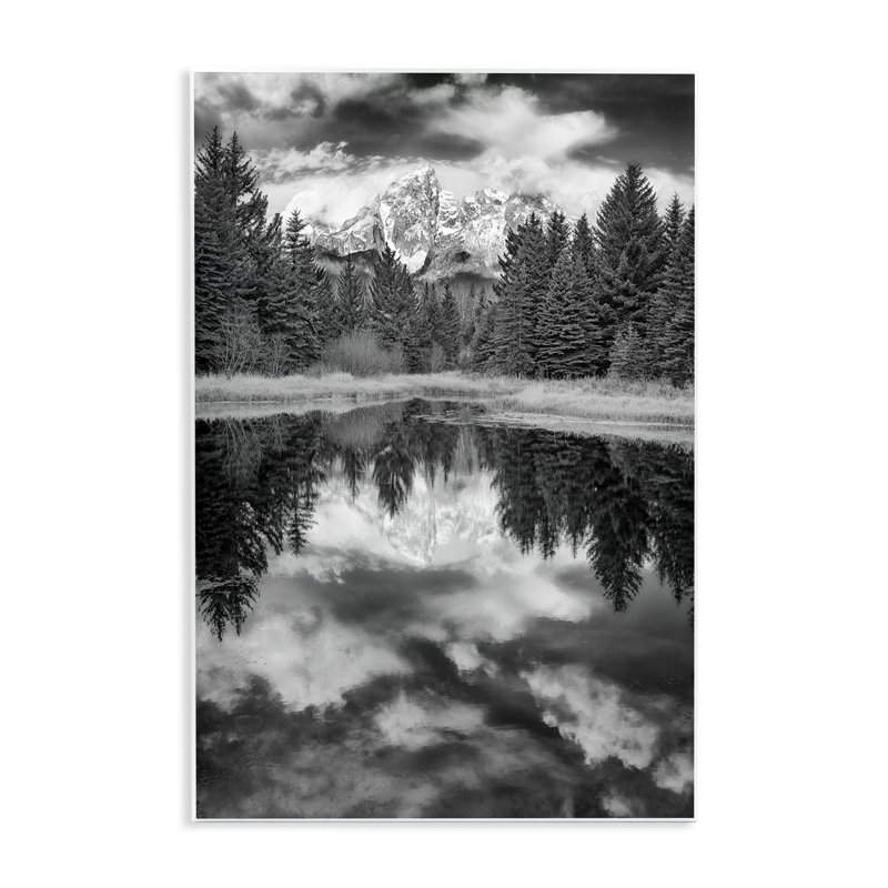 «Black & White Forest Reflection» par Rick Berk, H 19 po x l 13 po