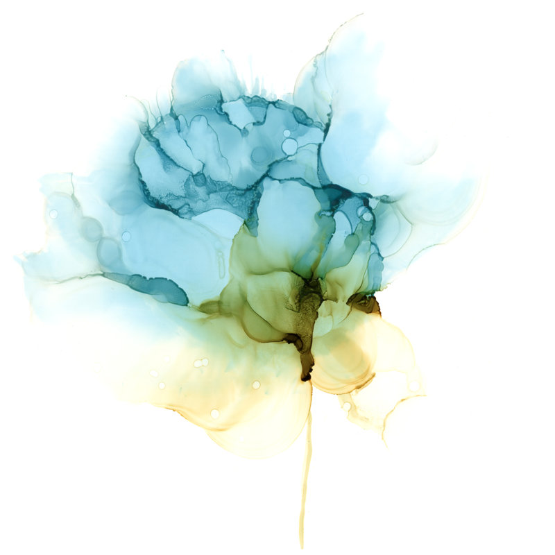 Blooming Cyan I by Jennifer Goldberger - Wrapped Canvas Painting, 76cm H x 76cm W x 3.8cm D