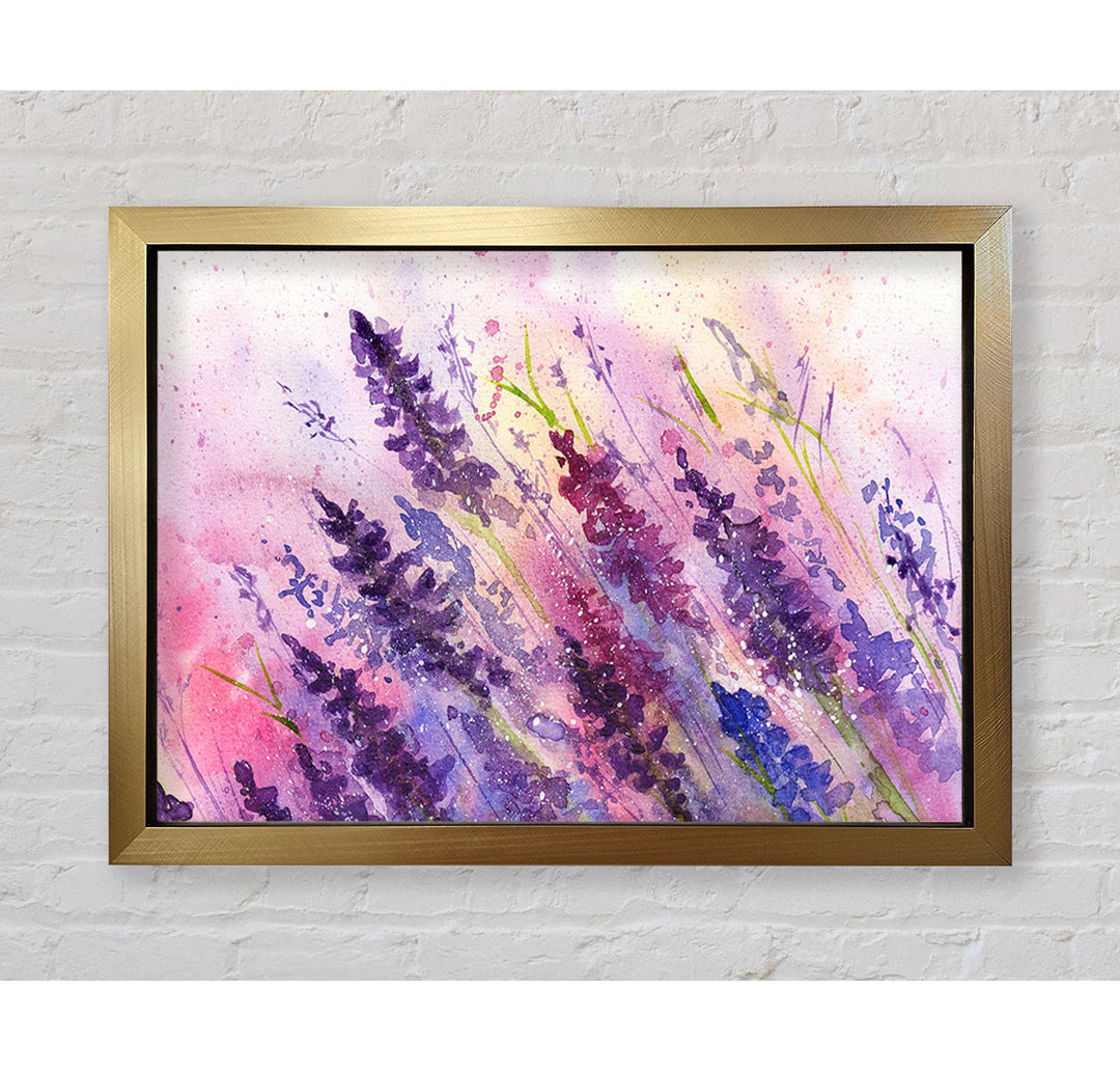 Gerahmtes Leinwandbild Lavender Colour Splash