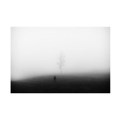 Rui Caria Encounter Canvas Art